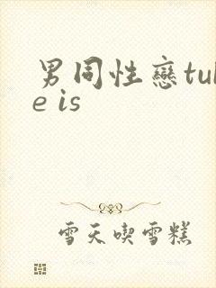 男同性恋tube is