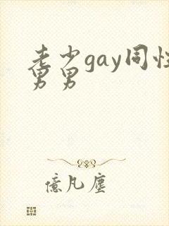 老少gay同性男男