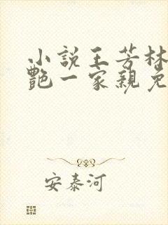 小说王芳林峰刘艳一家亲免费阅读