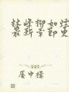 林峰柳如烟小说最新章节更新内容