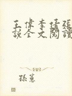 王伟李倩张浩小说全文阅读封面