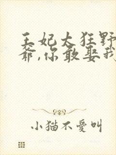 王妃太狂野:王爷,你敢娶我吗封面