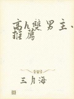 高h双男主小说推荐