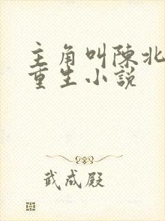 主角叫陈北玄的重生小说