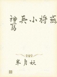 神兵小将燕侠续写