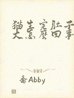 猫生完肚子还很大怎么回事?