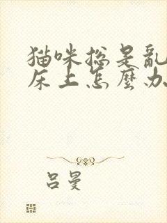 猫咪总是乱尿在床上怎么办