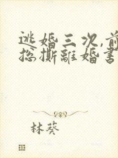 逃婚三次,前夫总撕离婚书小说