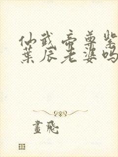 仙武帝尊紫萱是叶辰老婆吗封面