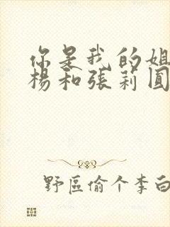 你是我的姐妹宋杨和张莉圆结局