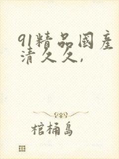 91精品国产高清久久,