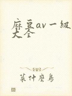 麻豆av一级片大全
