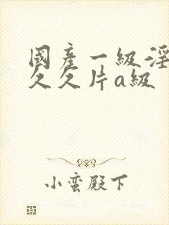 国产一级淫片久久久片a级