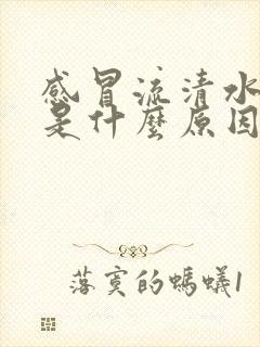 感冒流清水鼻涕是什么原因