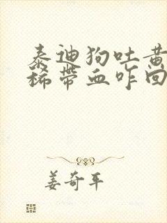 泰迪狗吐黄水拉稀带血咋回事