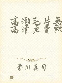 高潮毛片无遮挡高清免费软件