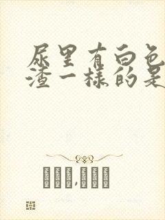 尿里有白色豆腐渣一样的是什么