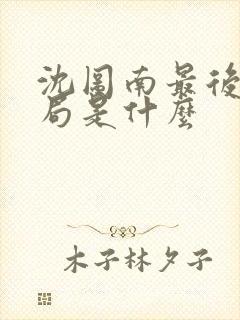 沈图南最后的结局是什么