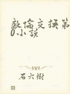 敌伦交换第150小说封面