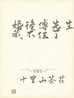 婚后傅先生马甲藏不住了