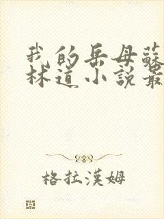 我的岳母苏沛真林道小说最新章节下载