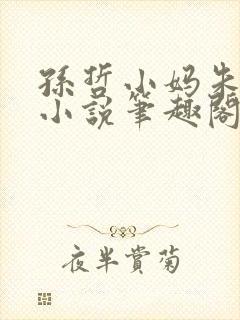 孙哲小妈朱颜的小说笔趣阁