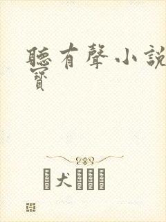 听有声小说听书宝