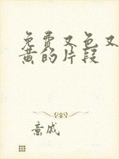 免费又色又爽又黄的片段