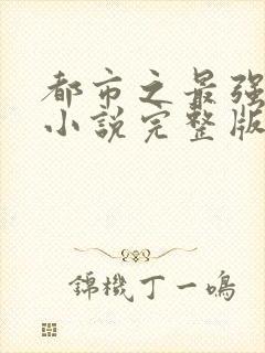 都市之最强狂兵小说完整版txt