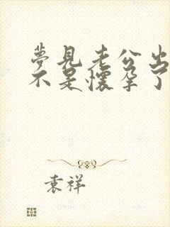 梦见老公出轨是不是怀孕了