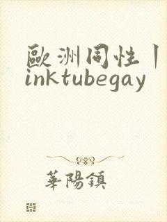 欧洲同性丨twinktubegay