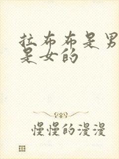 拉布布是男的还是女的