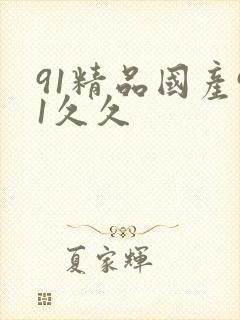 91精品国产91久久