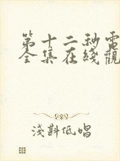 第十二秒电视剧全集在线观看免费