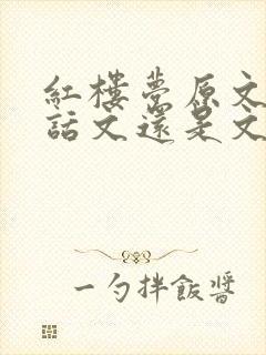 红楼梦原文是白话文还是文言文