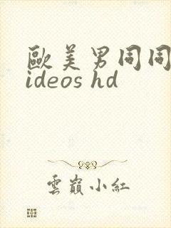 欧美男同同性videos hd