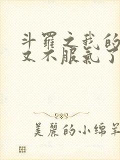 斗罗之我的系统又不服气了小说免费封面