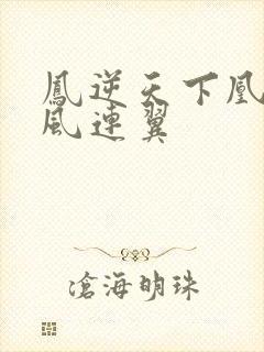 凤逆天下凰北月风连翼