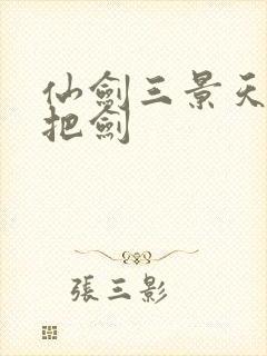 仙剑三景天的两把剑封面