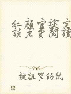 红颜官途完整小说免费阅读