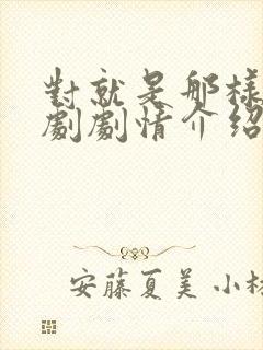 对就是那样电视剧剧情介绍