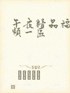 午夜精品福利视频一区封面