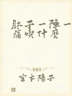 肚子一阵一阵的痛吃什么