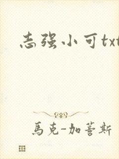 志强小可txt