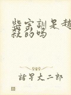 柴宗训是赵匡胤杀的吗