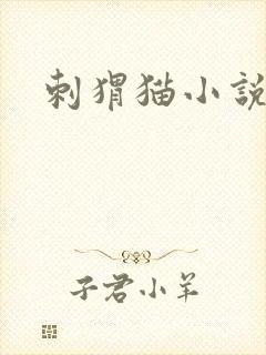 刺猬猫小说阅读
