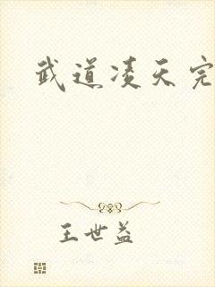 武道凌天完本