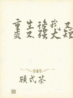 重生后我又飒又爽又强大短剧免费观看