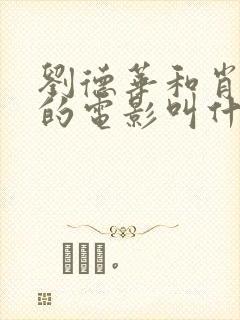 刘德华和肖央演的电影叫什么