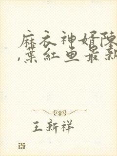 麻衣神婿陈黄皮,叶红鱼最新章节